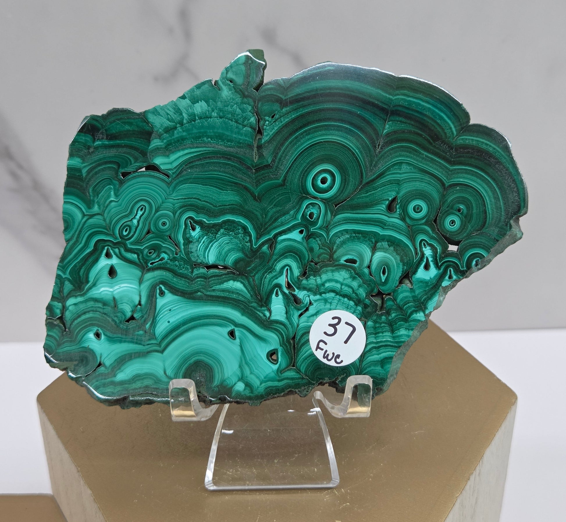 Malachite crystal on a stand with a white background