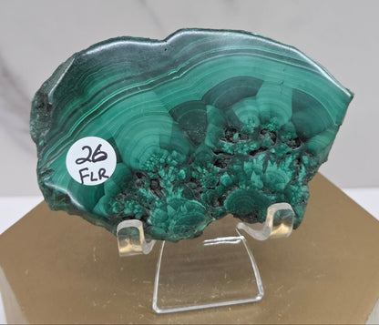 Green malachite mineral specimen on a stand with a white background