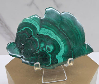 Green malachite crystal on a clear stand against a neutral background