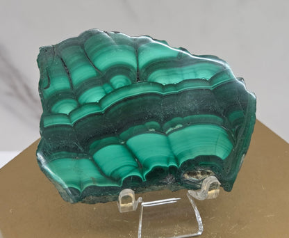 Green malachite crystal on a clear stand with a beige base against a neutral background