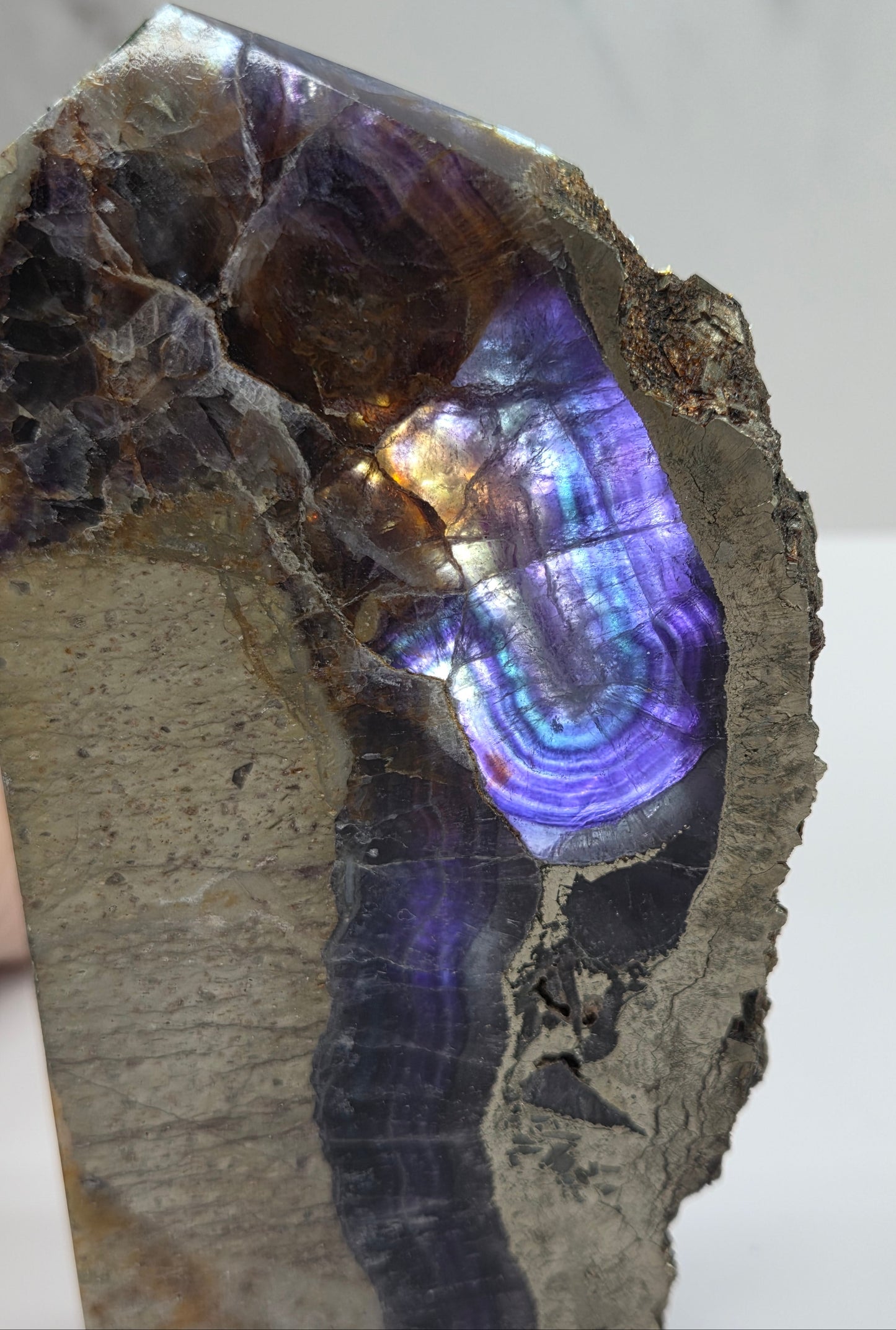 Close-up of a crystal with a purple and brown interior on a white background