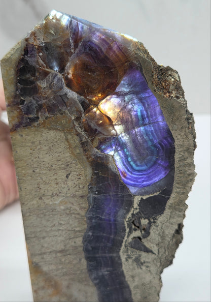 Polished crystal with iridescent colors held by a hand on a white background