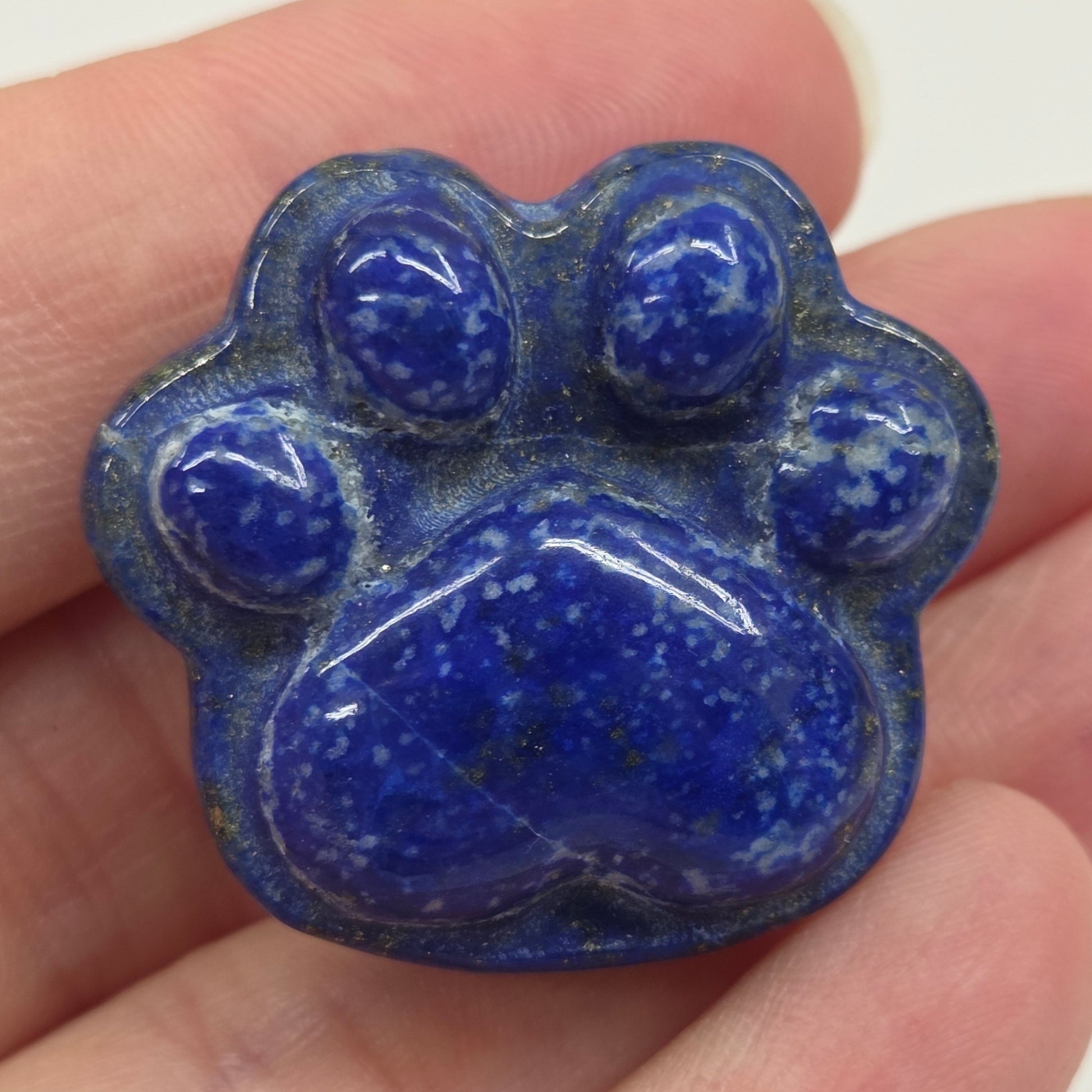 Blue stone shaped like a paw held in a hand against a white background