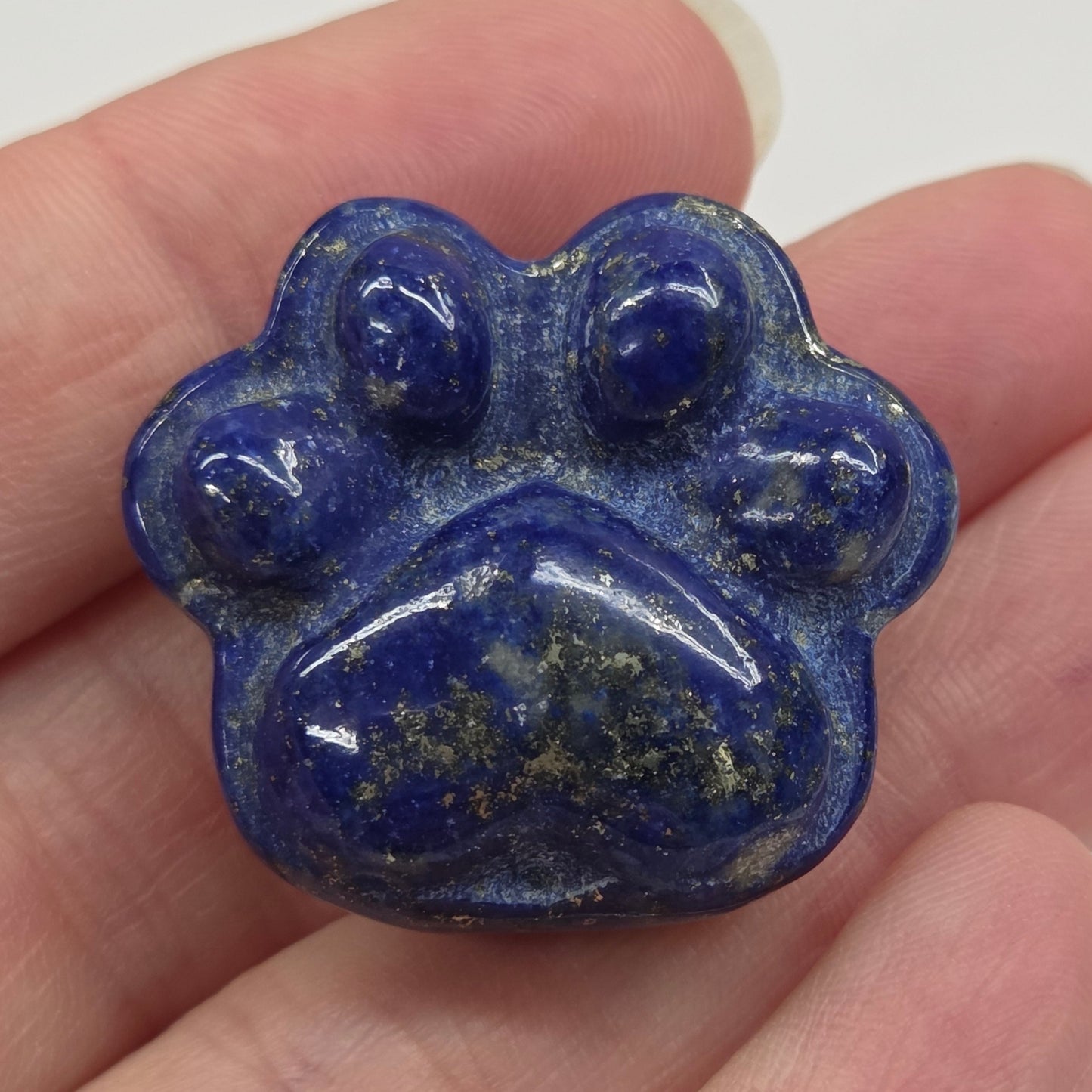 Blue stone with paw print design held in a hand against a white background