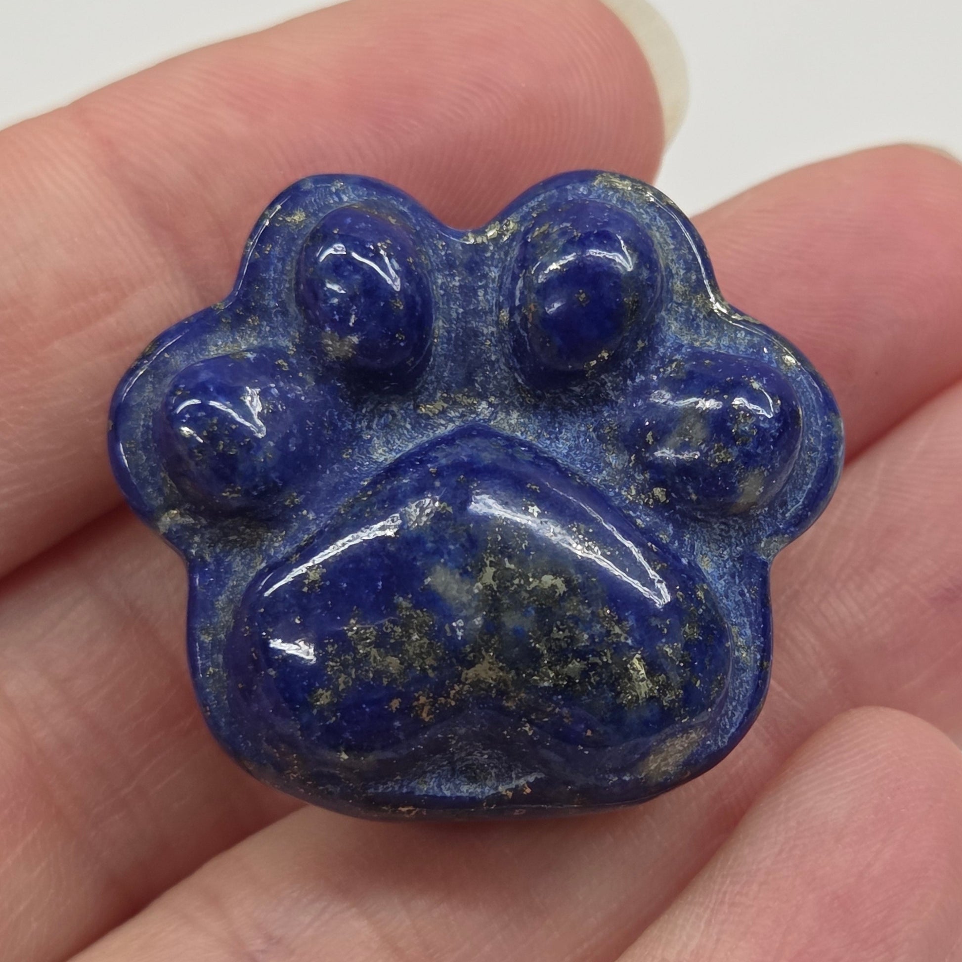 Blue stone with paw print design held in a hand against a white background