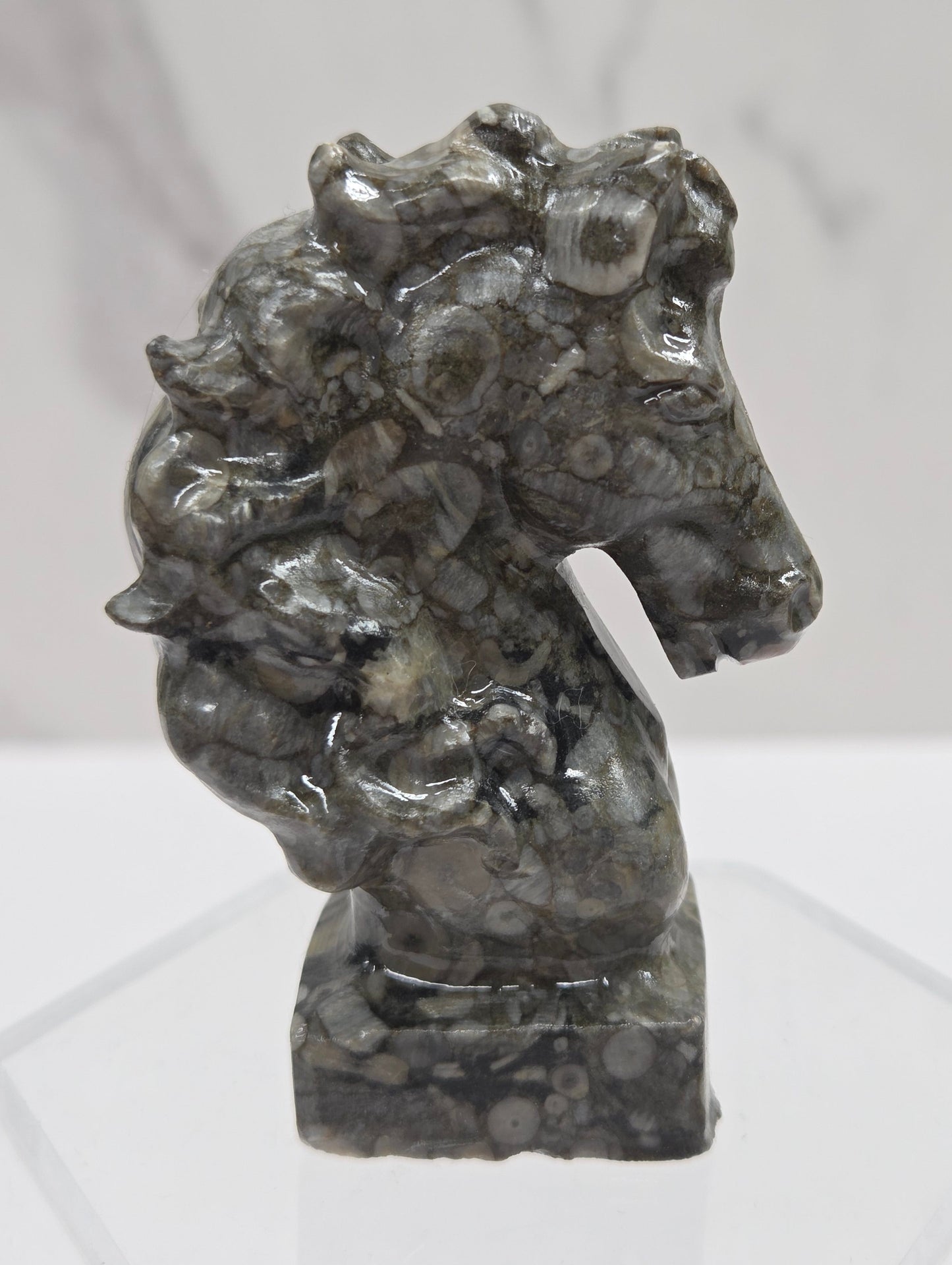 Gray stone sculpture of a horse head with fossils on a white background