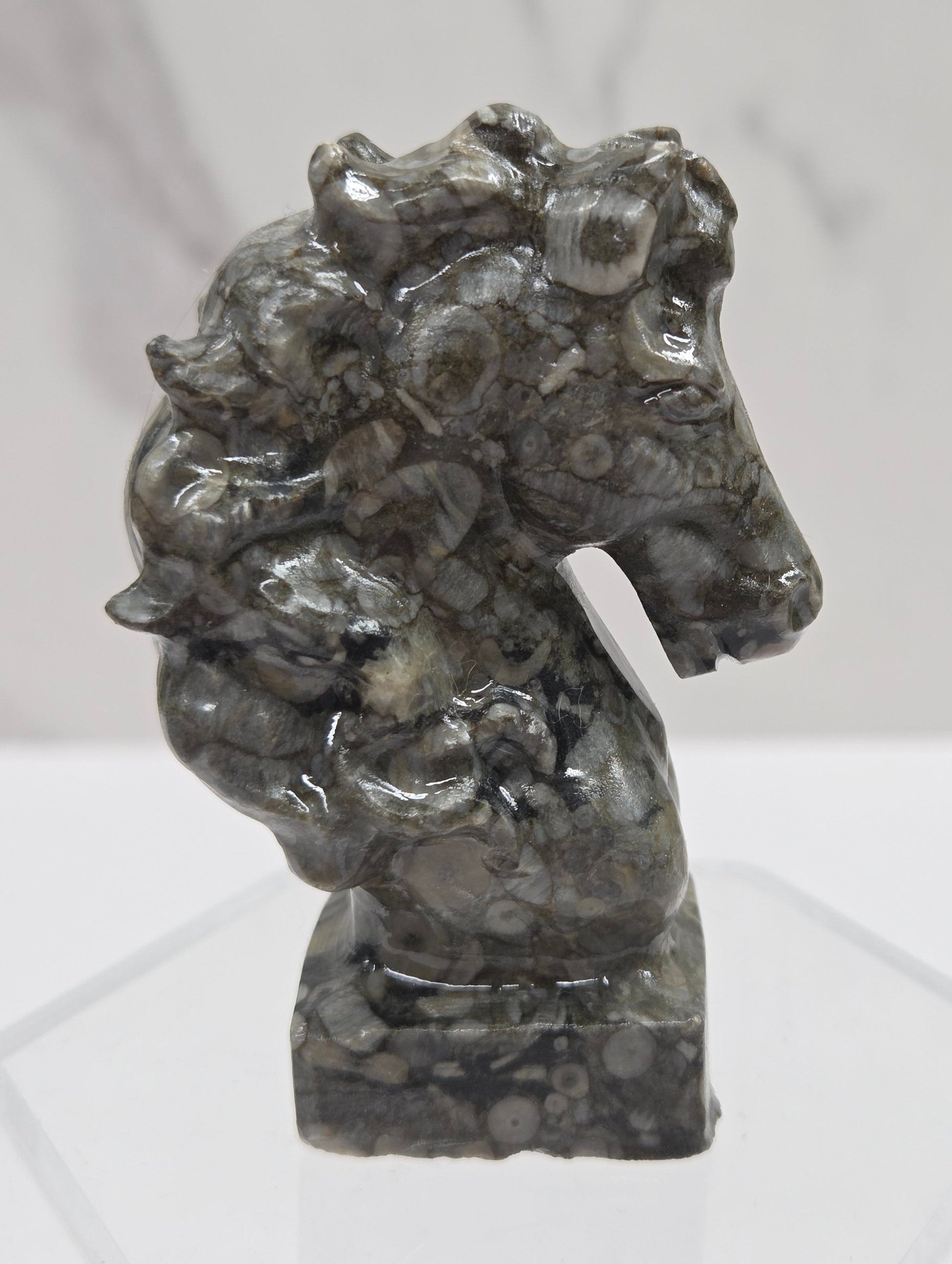 Gray stone sculpture of a horse head with fossils on a white background