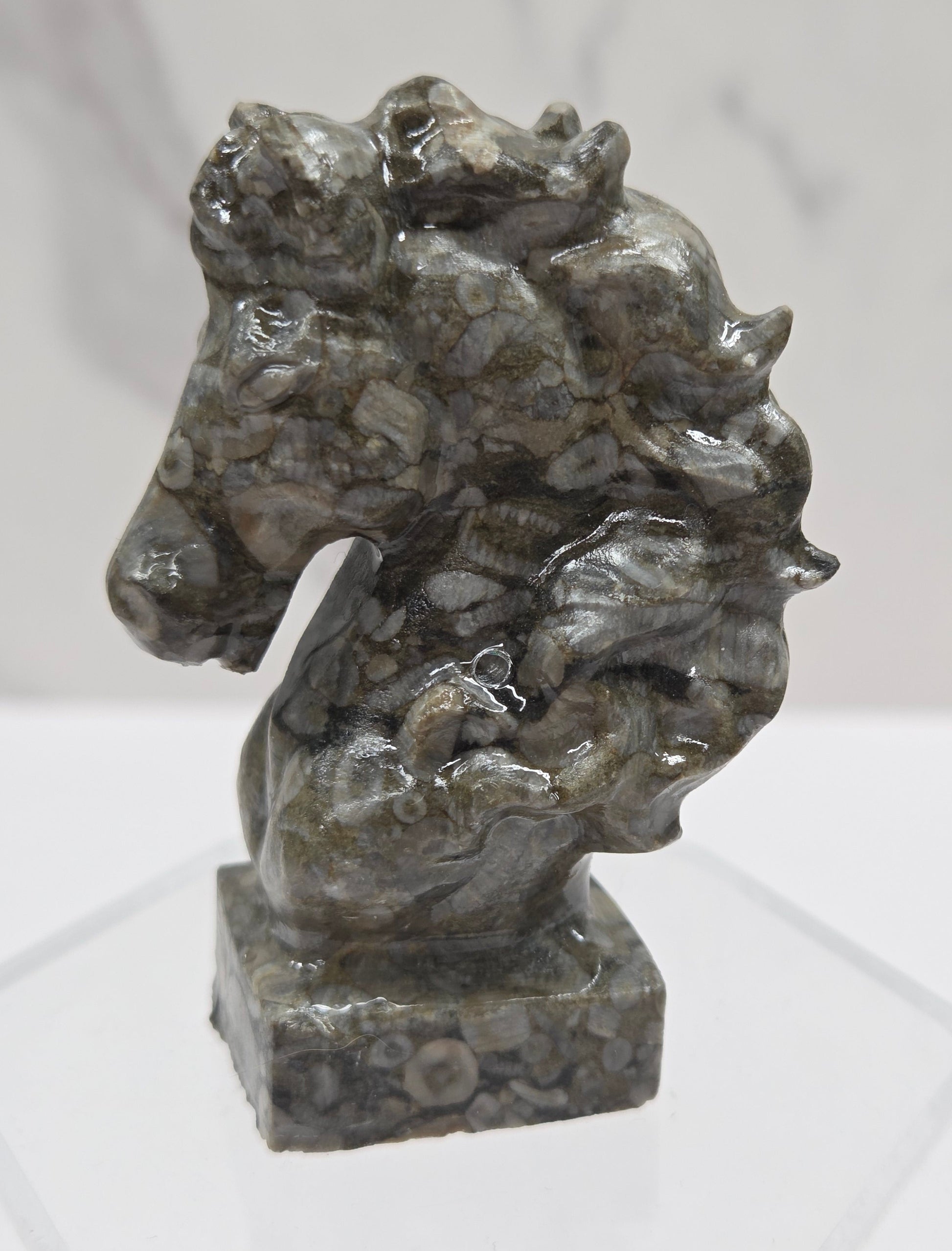 Gray stone sculpture of a horse head with fossils on a white background