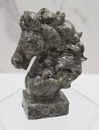 Gray stone sculpture of a horse head with fossils on a white background