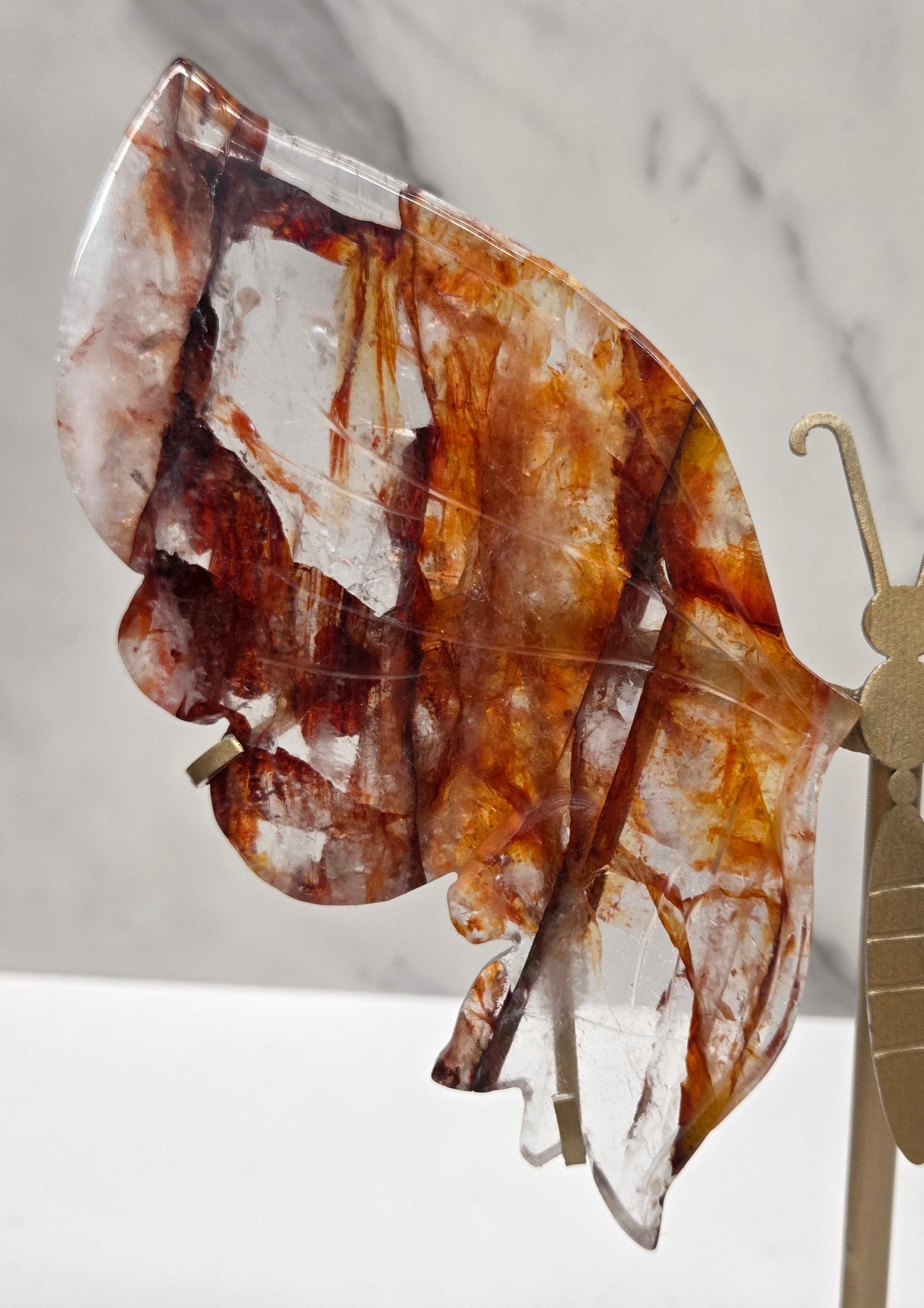 Fire Quartz butterfly wing carvings on a gold metal stand on a white background