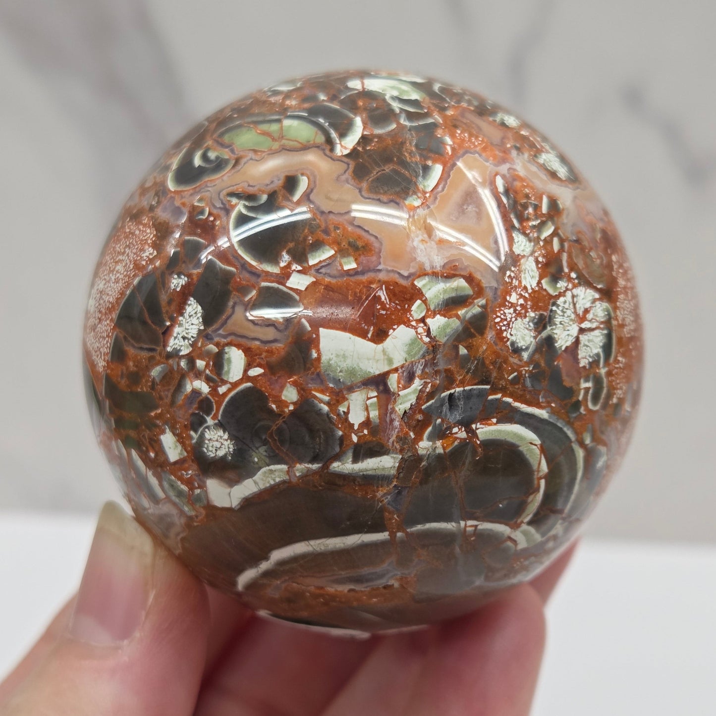 money agate multiple colored sphere held in a hand with a blurred background