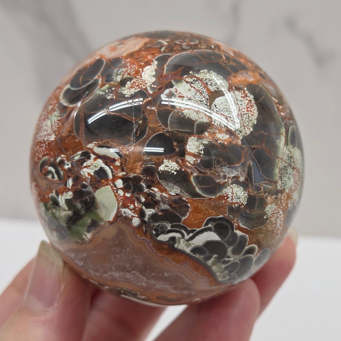 money agate multiple colored sphere held in a hand with a blurred background