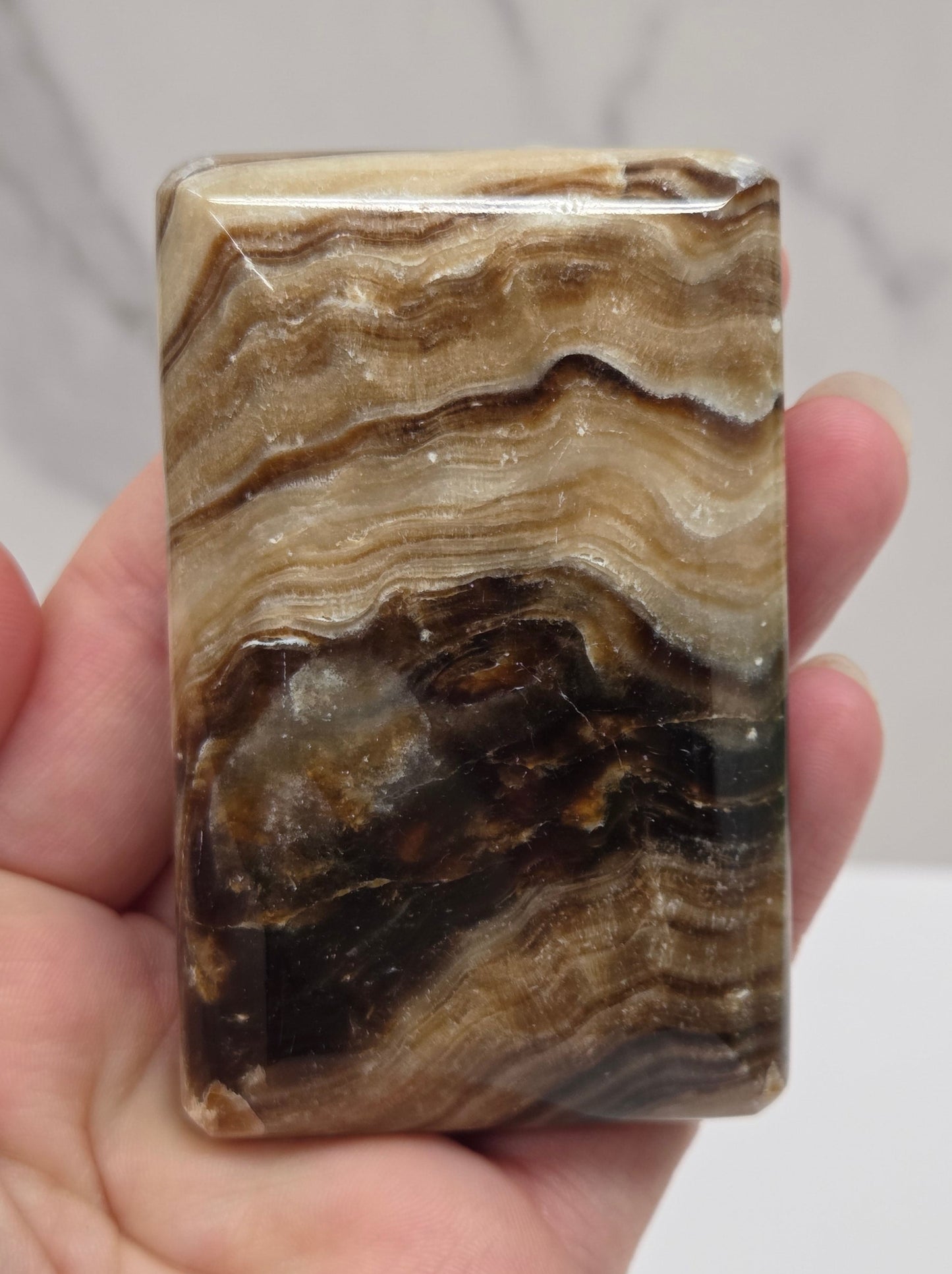 Hand holding a polished stone with brown and beige patterns against a neutral background