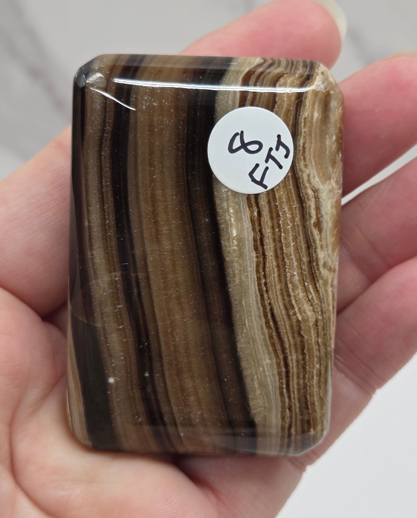 Hand holding a polished stone with a label, against a neutral background