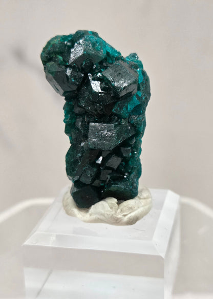 Green dioptase crystal cluster on a white stand against a light gray background