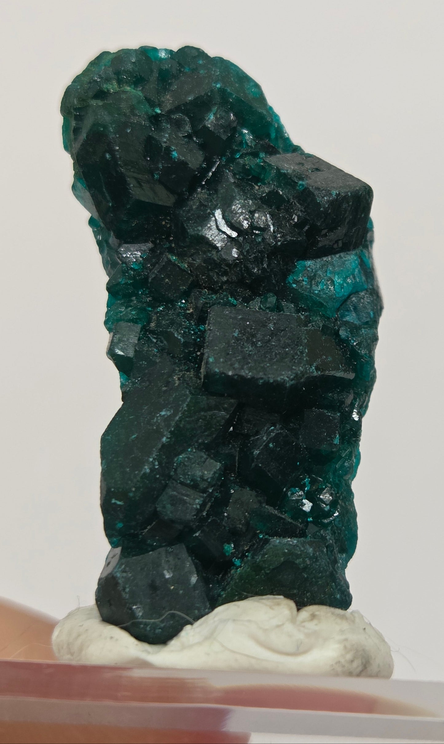 Green dioptase crystal cluster on a white stand against a light gray background