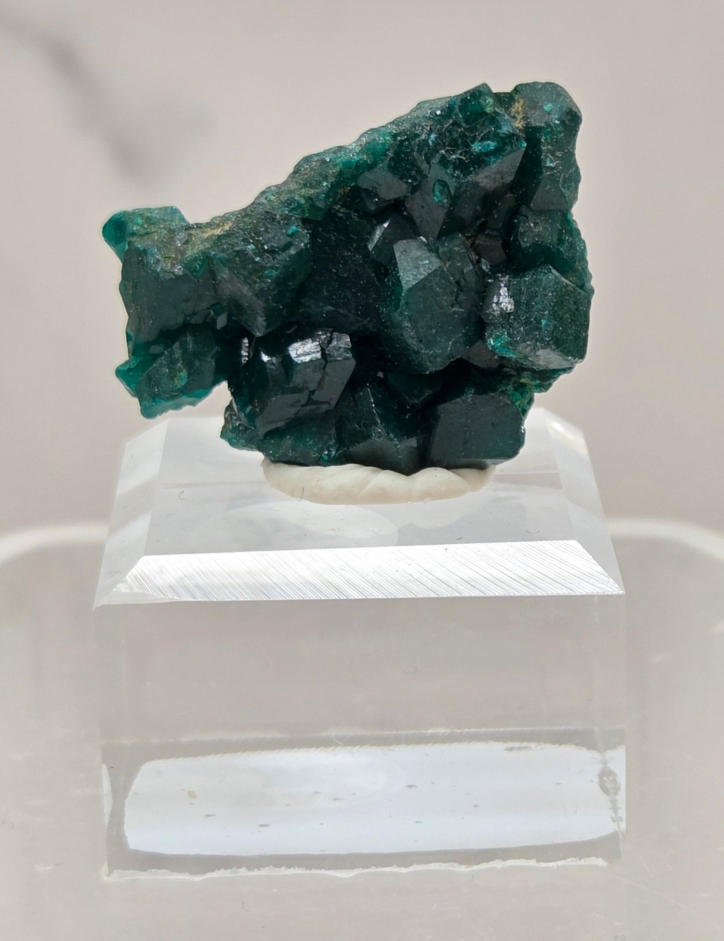 Green dioptase crystal cluster on a white stand against a light gray background