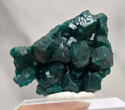 Green dioptase crystal cluster on a white stand against a light gray background
