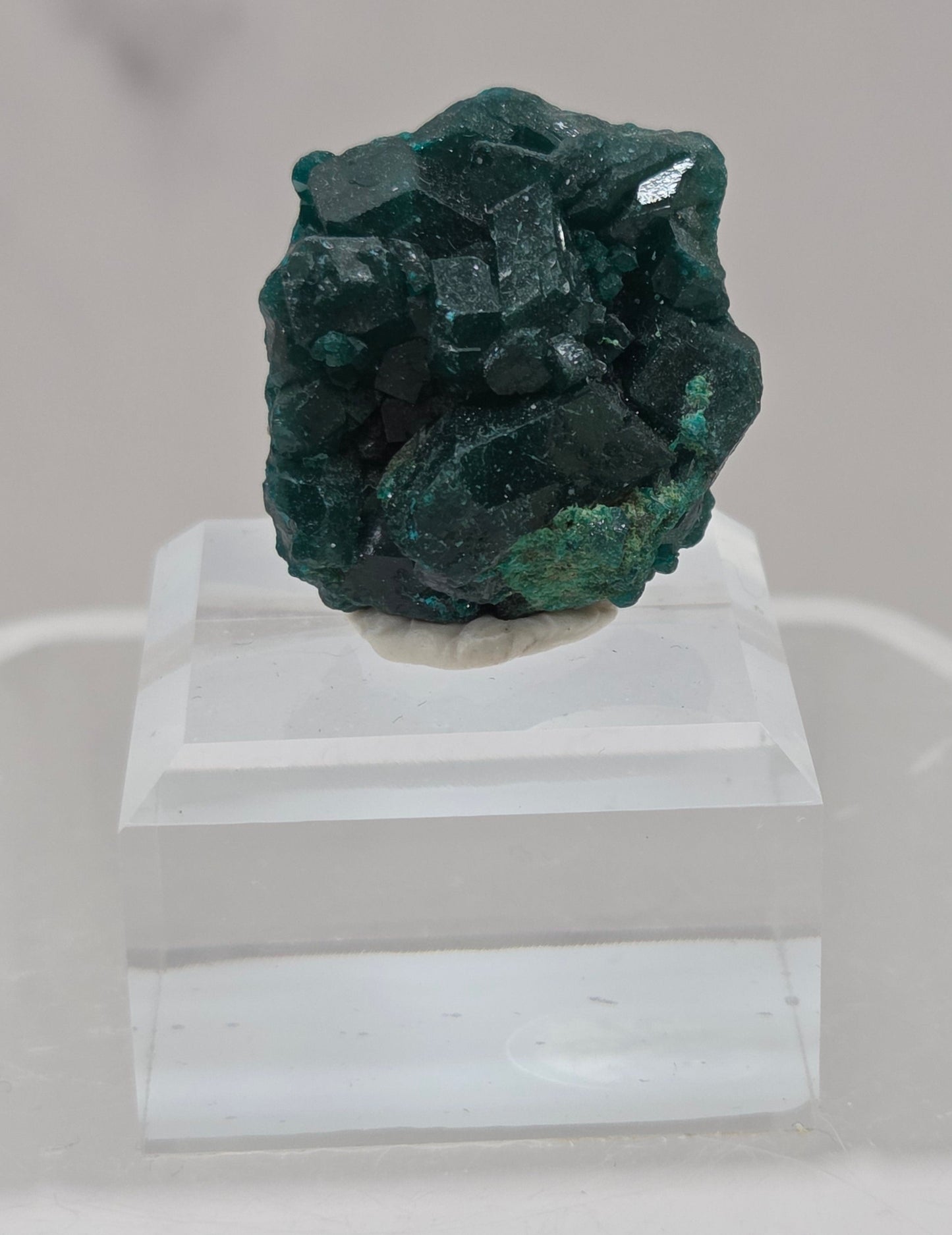 Green dioptase crystal cluster on a white stand against a light gray background