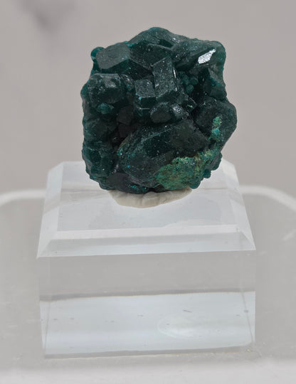 Green dioptase crystal cluster on a white stand against a light gray background