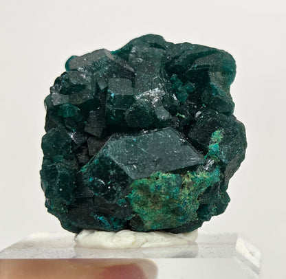 Green dioptase crystal cluster on a white stand against a light gray background