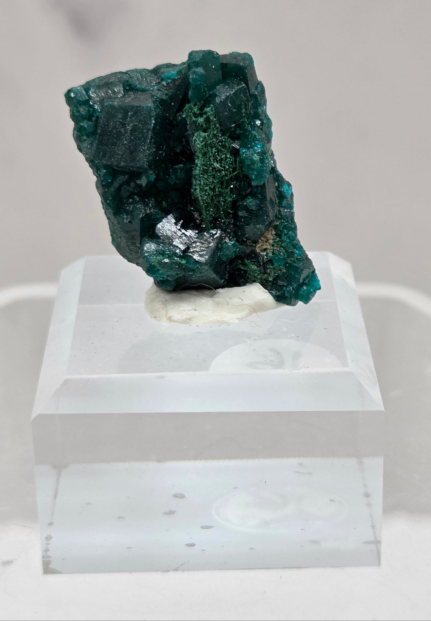 Green dioptase crystal cluster on a white stand against a light gray background