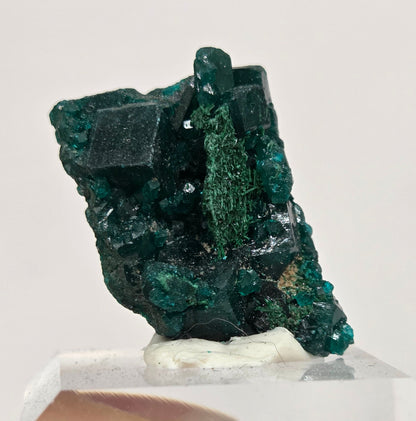 Green dioptase crystal cluster on a white stand against a light gray background