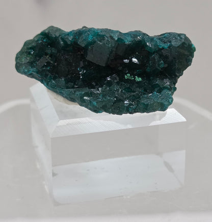 Green dioptase crystal cluster on a white stand against a light gray background