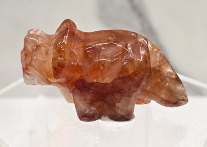 Crystal triceratops figurine on a clear stand with a white background