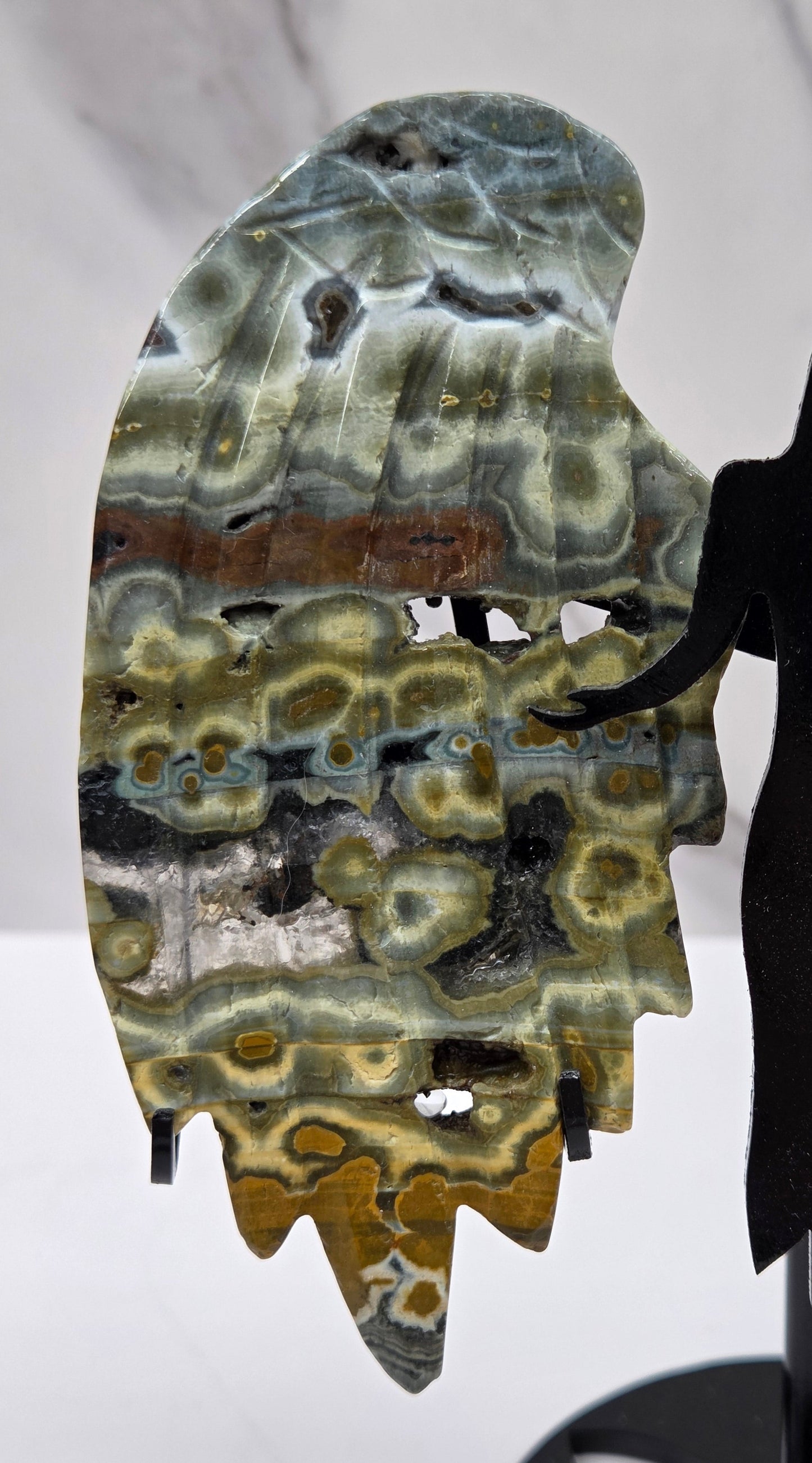Multi-colored and patterned Jasper angel wings on a black stand against a white background