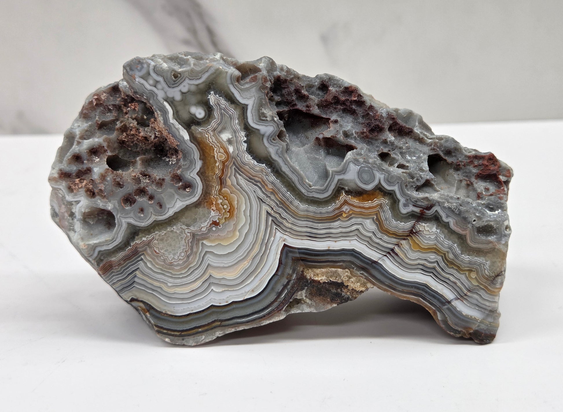 Laguna lace agate specimen with colorful banding on a neutral background