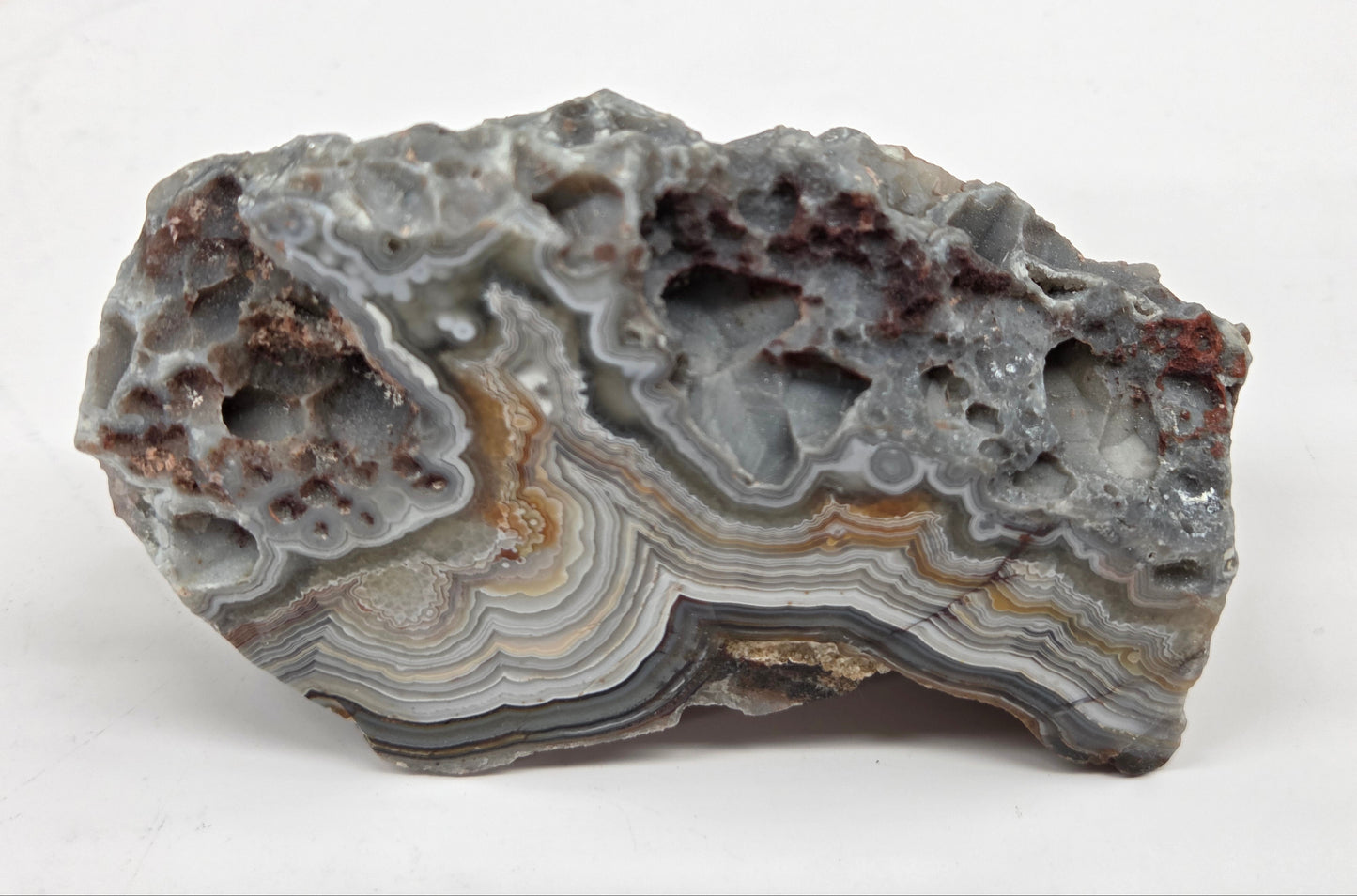 Laguna lace agate specimen with colorful banding on a neutral background