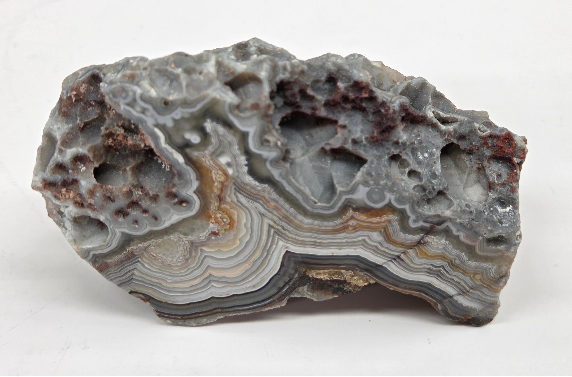 Laguna lace agate specimen with colorful banding on a neutral background