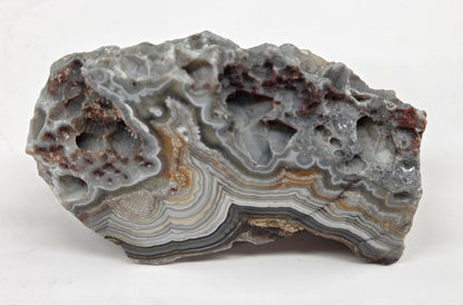 Laguna lace agate specimen with colorful banding on a neutral background