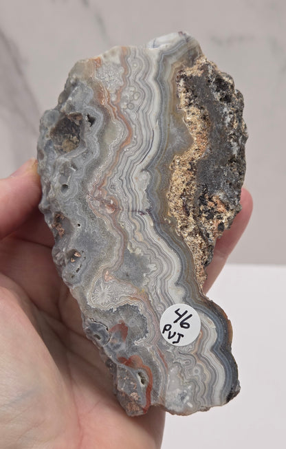 Hand holding a Laguna lace agate specimen with colorful banding on a neutral background