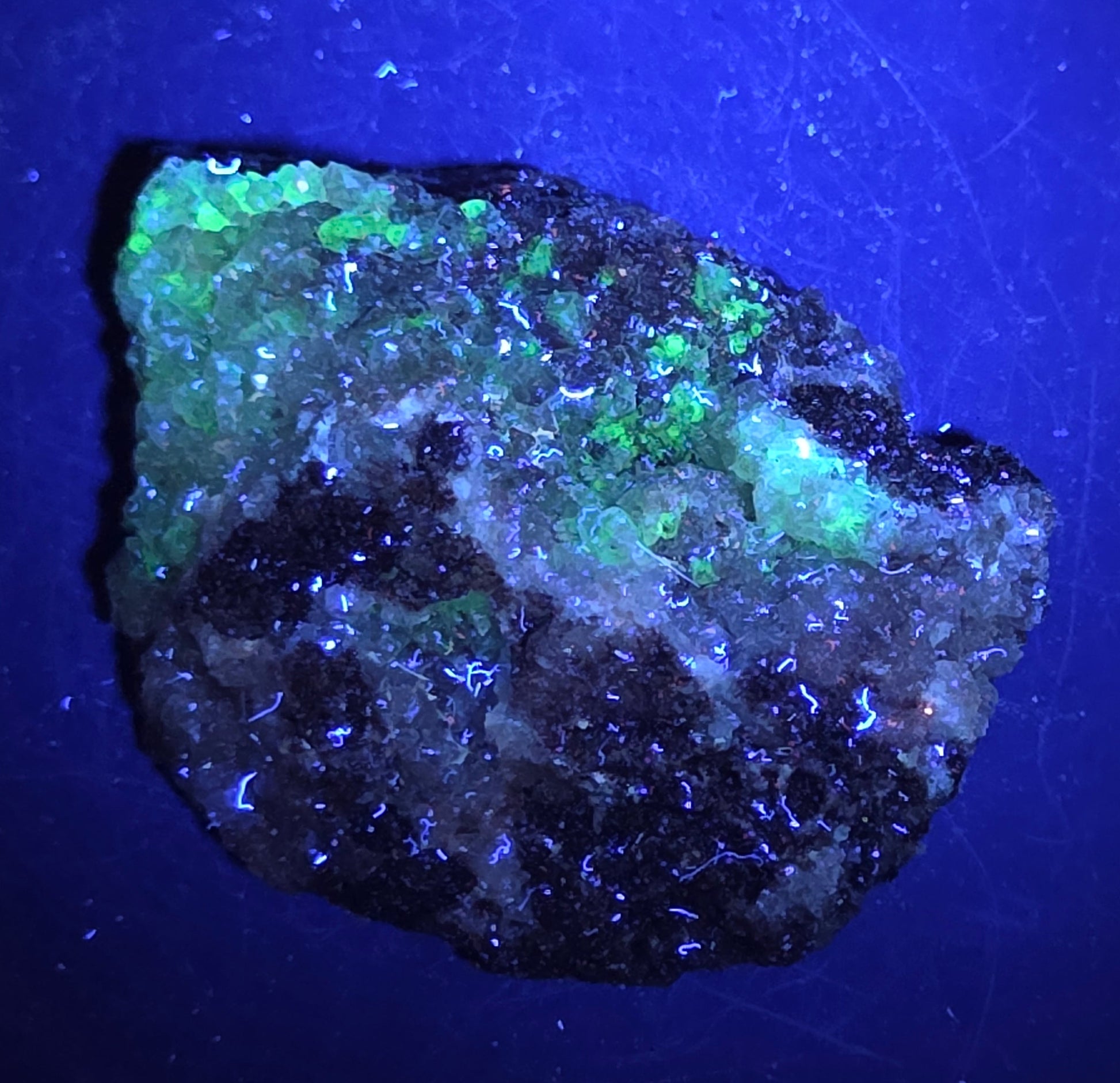 A calcite specimen under UV light with a neutral background