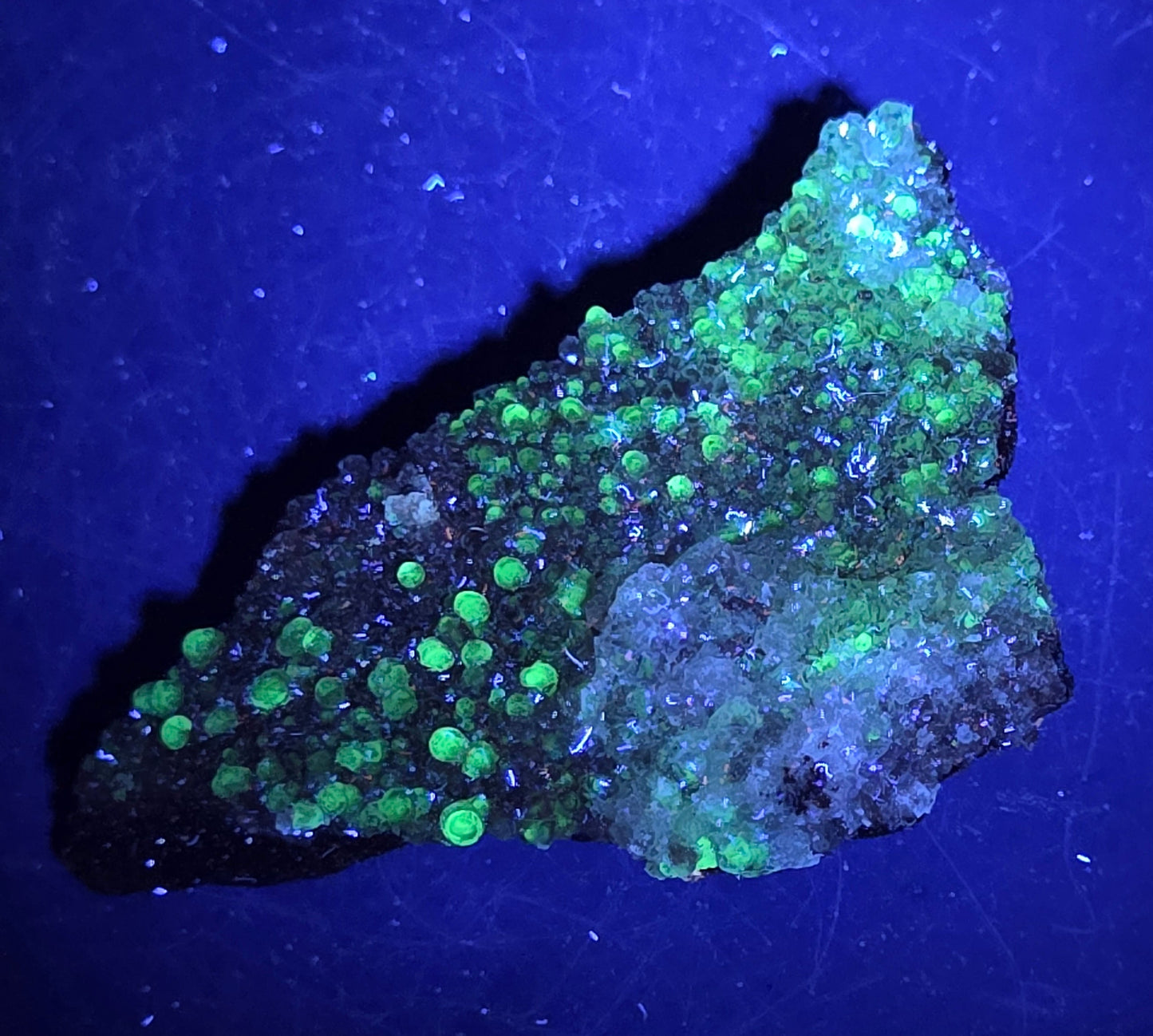 A calcite specimen under UV light with a neutral background