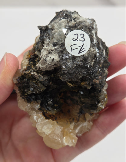 Calcite crystal specimens on a white background, with varying sizes and hues, some with a golden color and others with a darker, clouded appearance.