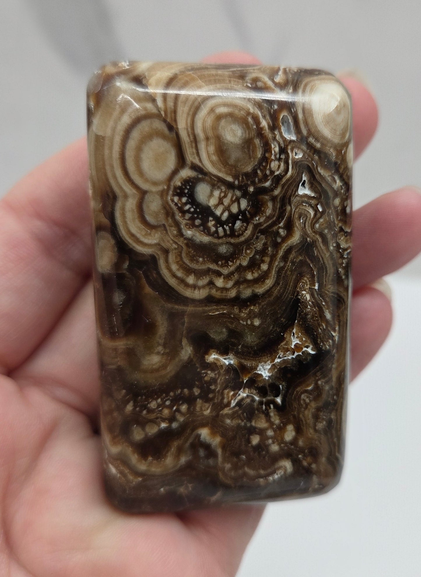 Hand holding a rectangular stone with brown and beige patterns against a white background