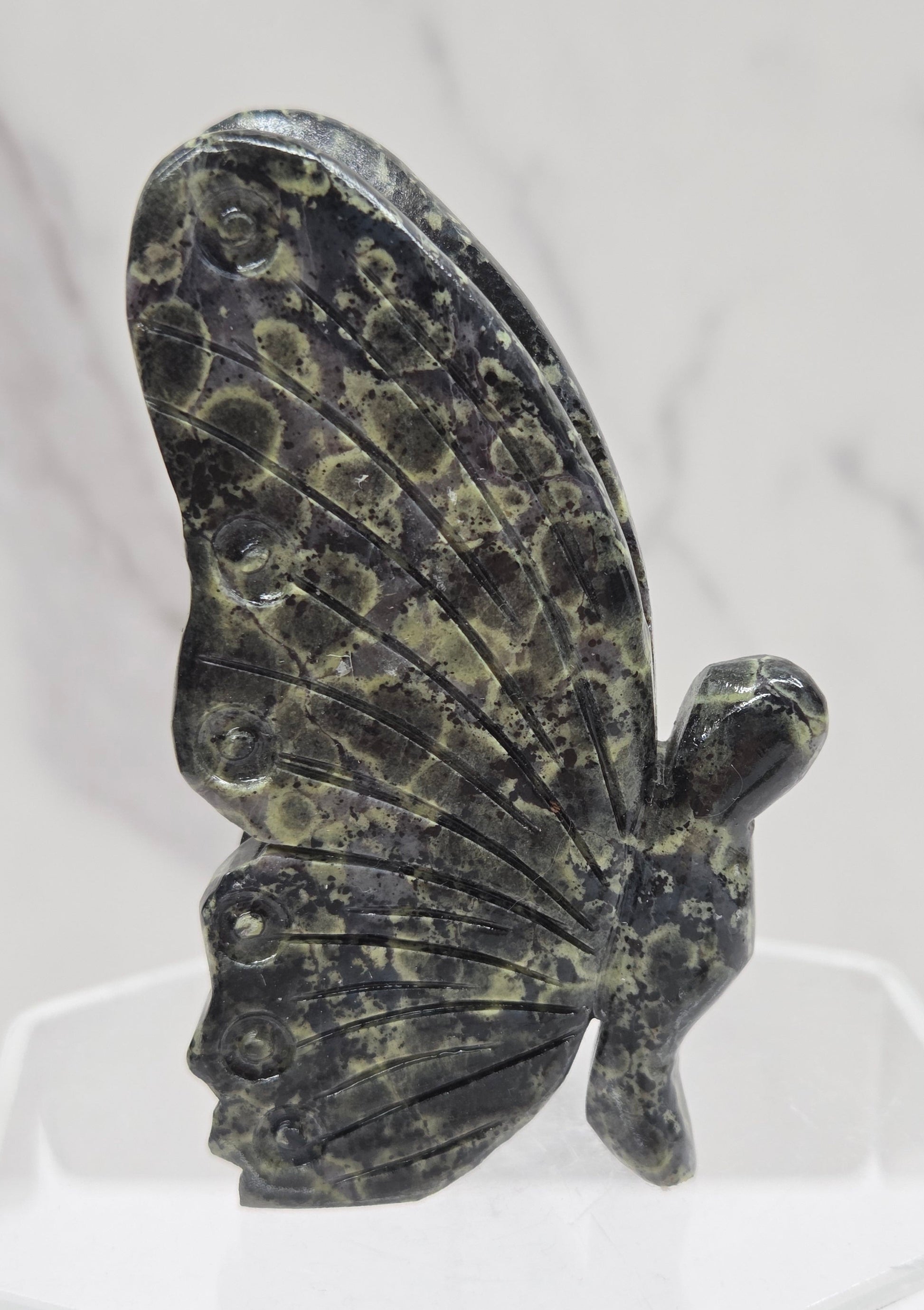 Decorative butterfly with intricate patterns on a white background