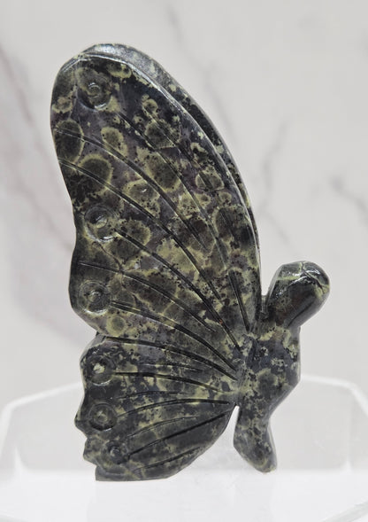 Decorative butterfly with intricate patterns on a white background