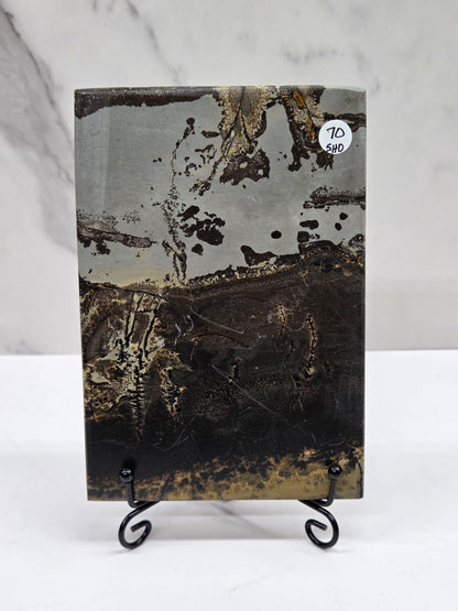 Picture Jasper slab with patterns, on a black stand against a white background