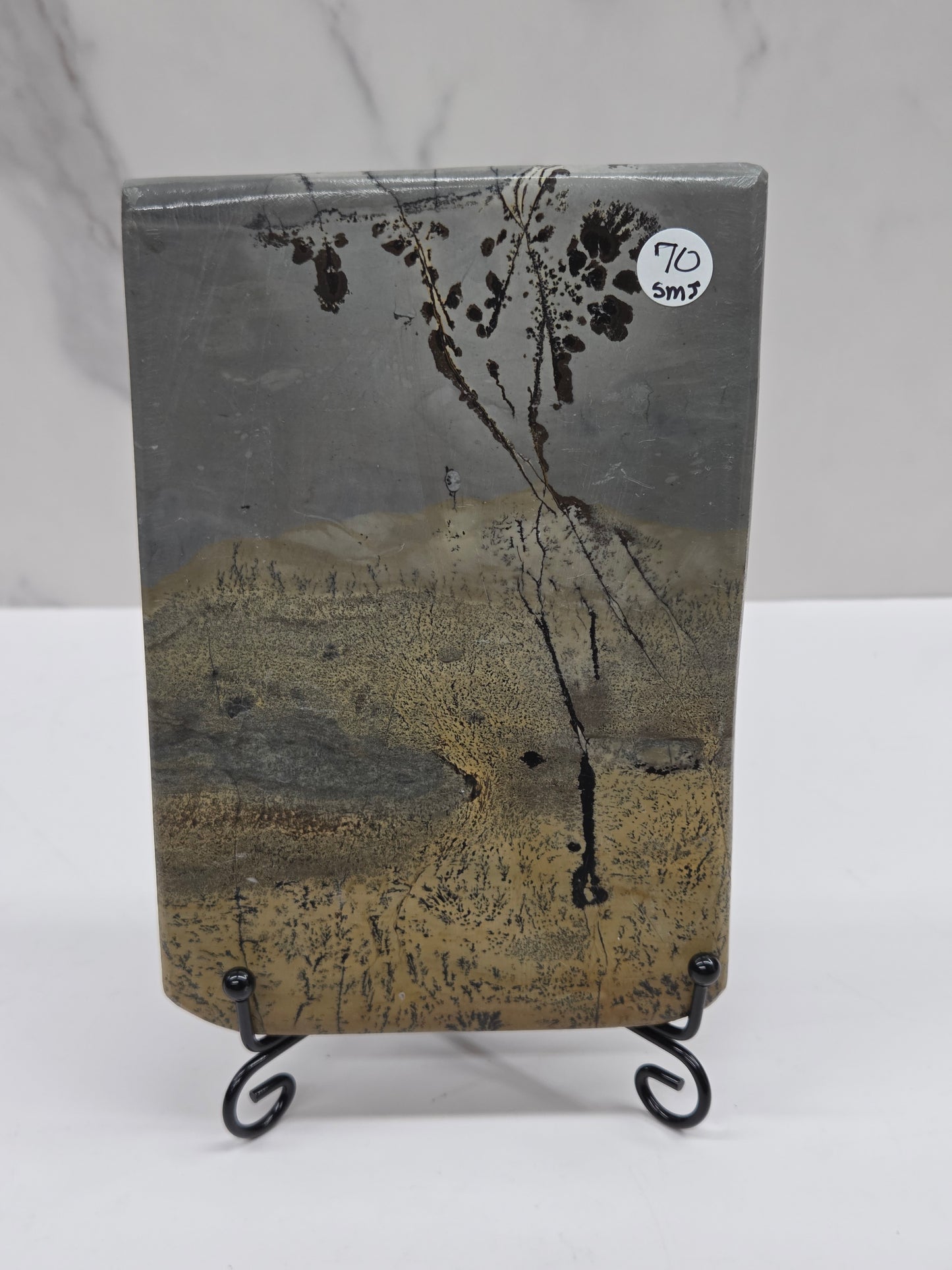 Picture Jasper slab with patterns on a black stand against a white background