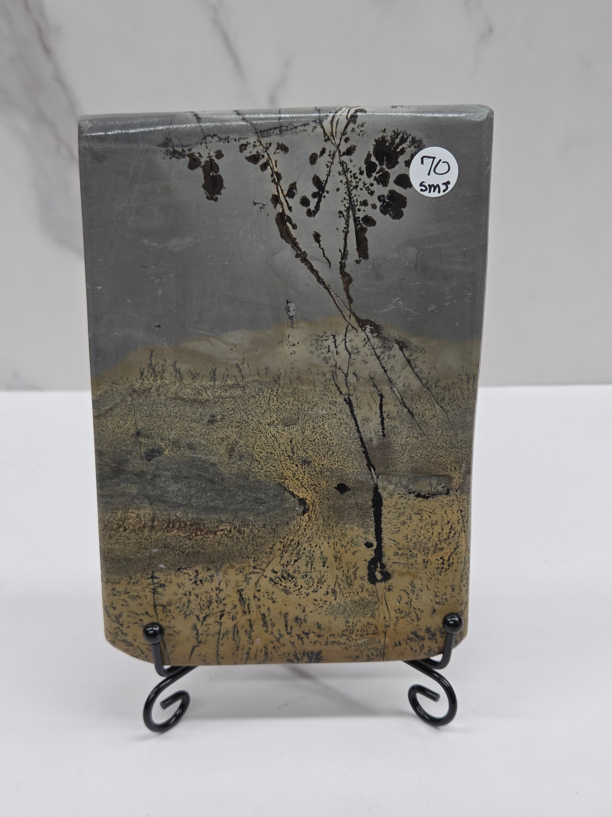 Picture Jasper slab with patterns on a black stand against a white background