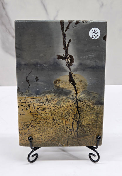 Picture Jasper slab with patterns on a black stand against a white background