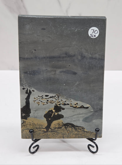 Picture Jasper slab with patterns on a black stand against a white background