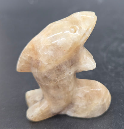Carving of a moonstone dolphin on a dark background