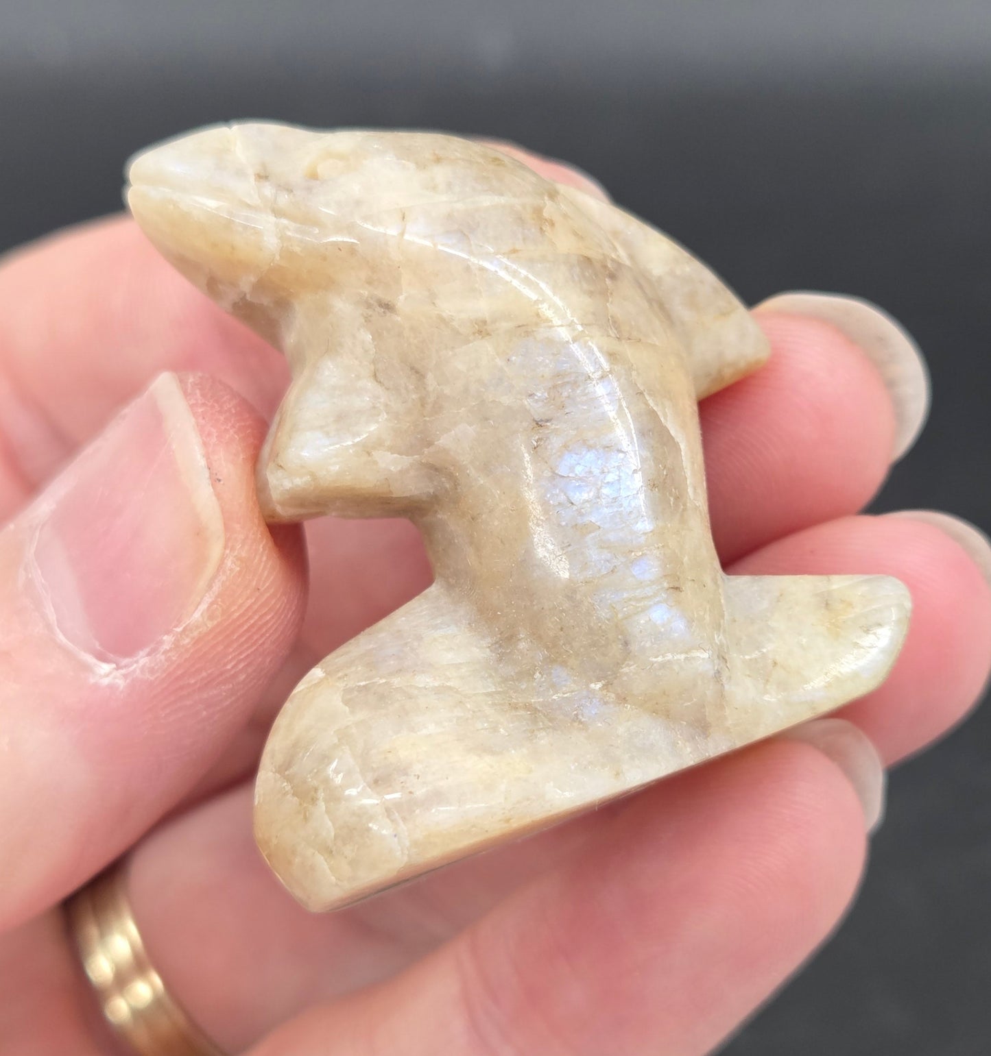 Hand holding a carving of a moonstone dolphin on a dark background