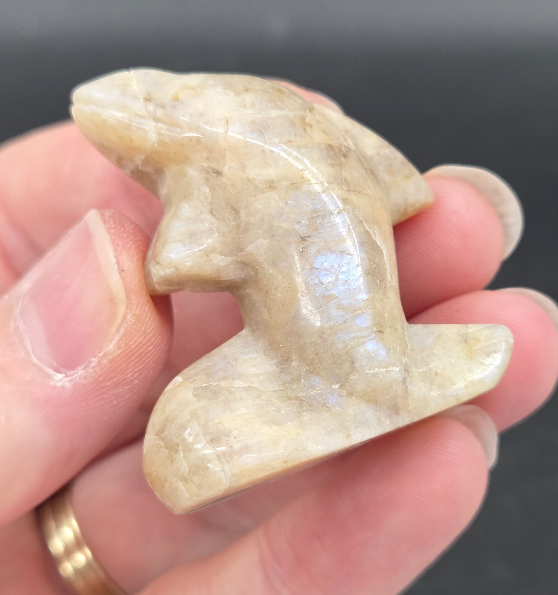 Hand holding a carving of a moonstone dolphin on a dark background