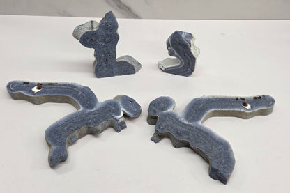 Blue Coral free forms in various shapes on a white background
